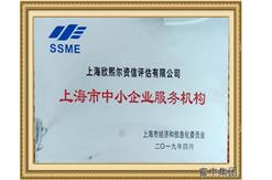 上海市中小企业服务机构