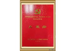 天平街道优秀共产党员、优秀党务工作者和先进基层党组织