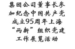 集团公司董事长参加纪念中国共产党成立95周年上海“两新”组织党建工作展览活动